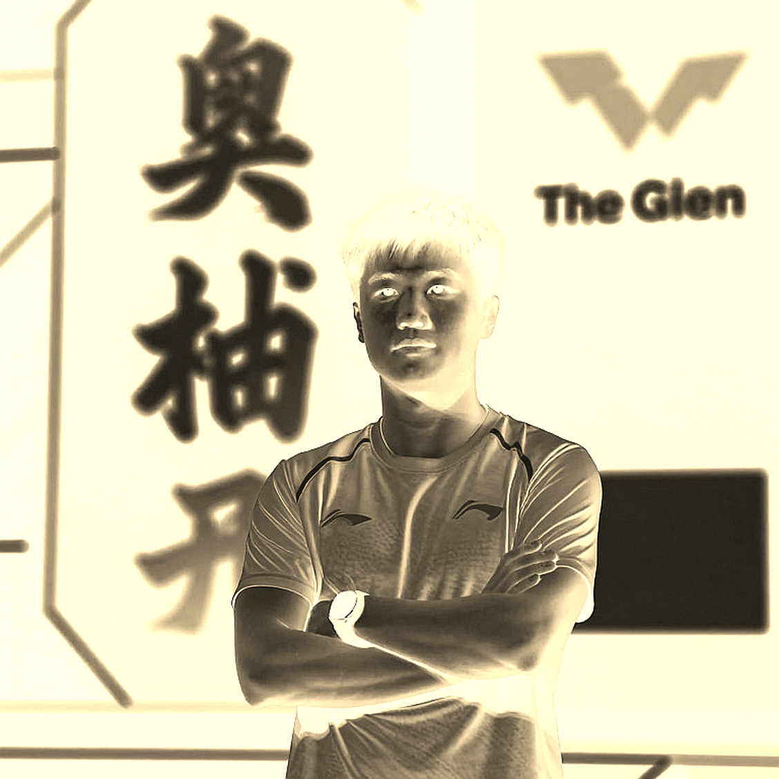 Vietnamese Athletics and the Missing Injury File in the Annual Season Vietnamese Athletics and the Missing Injury File in the Annual Season